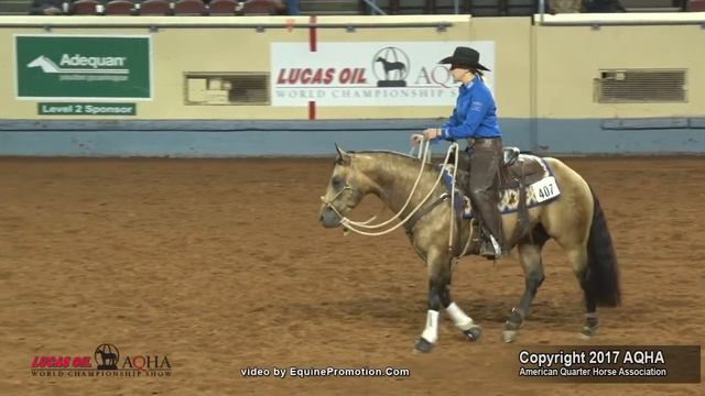 A Judge's Perspective: 2017 AQHA World Junior Working Cow Horse World Champion смотреть онлайн