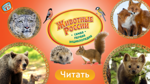 Животные России! Энциклопедия. Видео для детей!