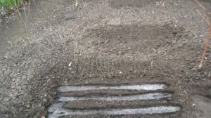 Редиску сеем под плёнку
