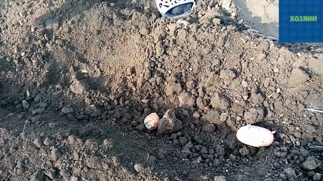 Посадка картошки под мотоблок Forte. смотреть онлайн