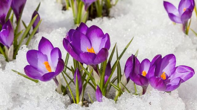 Я бегу к Аллаху  (Тина АНСАРОВА)