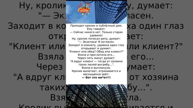 Кролик и удав #анекдоты #приколы #радость #шутки #смех #юмор #анекдотыновые смотреть онлайн