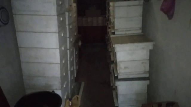 Почему я все таки решил зимовать своих пчел в помещении,а не на улице? смотреть онлайн