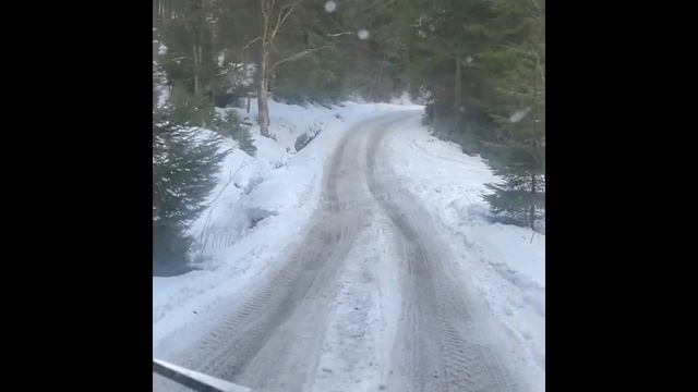 Наше путешествие в сказку Драгобрата день 1...продолжение следует... смотреть онлайн