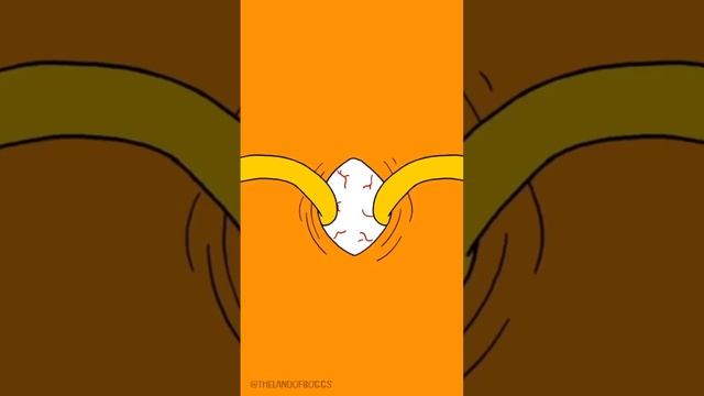 3 ГЛАЗ.. ??? оригинал@TheLandofBoggs #озвучка #boggs смотреть онлайн