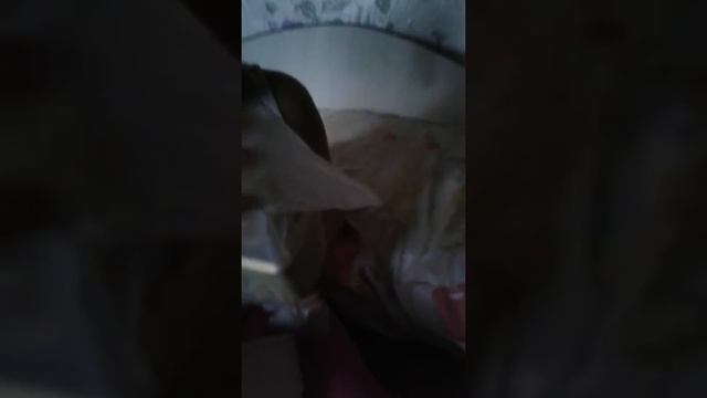 Мой микрофон! # подарки # день рождения смотреть онлайн