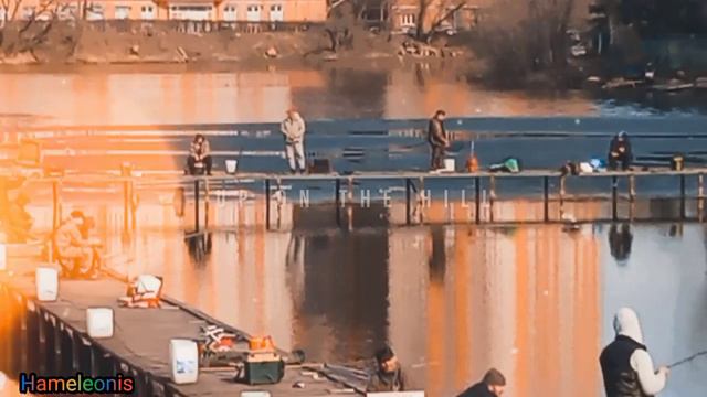 Самая крупная рыба водится в живорыбных лавках. - Антон Павлович Чехов. смотреть онлайн