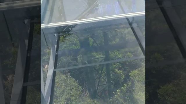 Стеклянный мост в Китае смотреть онлайн