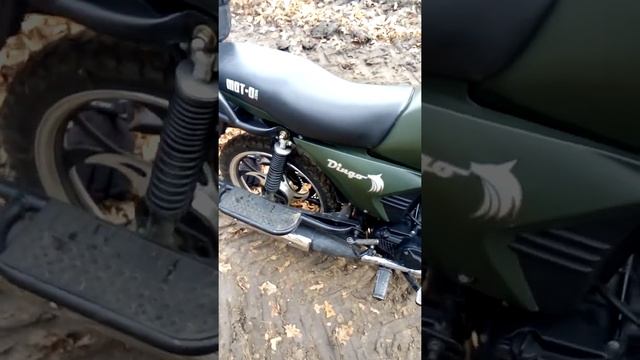 Мустанг динго смотреть онлайн