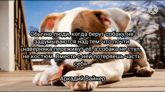 Мероприятие в рамках декады по самопознанию. смотреть онлайн