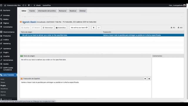 TRADUCIR GRATIS Plugins y Plantillas WORDPRESS con LOCO TRANSLATE смотреть онлайн