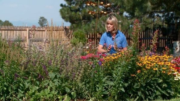 Perennial Plants for Pollinators by Tagawa Gardens