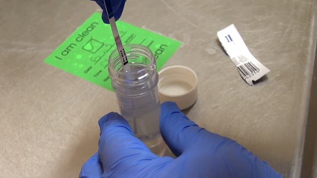 How to run a Pregnancy Test смотреть онлайн