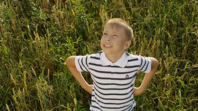 Золотые луга (Gold meadows) смотреть онлайн