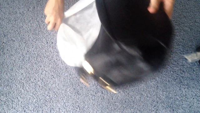 Женская сумка змеиная кожа смотреть онлайн