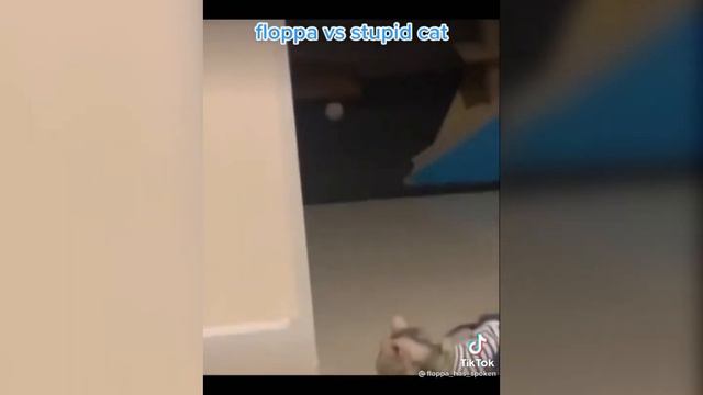 BIG FLOPPA БОЛЬШОЙ ШЛЕПА смотреть онлайн