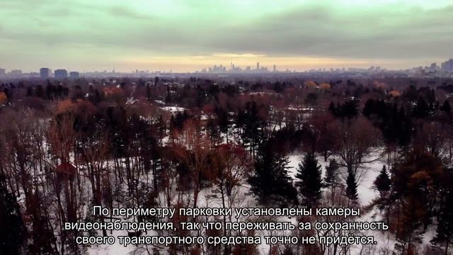 О парковке на длительный срок в Шереметьево: цена за сутки пользования стоянкой