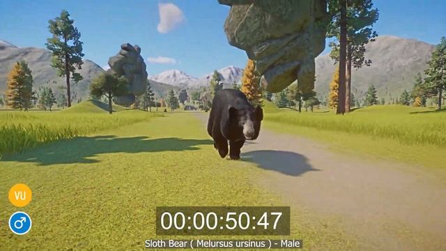 Bear Species Speed Races  All MALES In Planet Zoo Includes Eurasian Brown Bear Etc