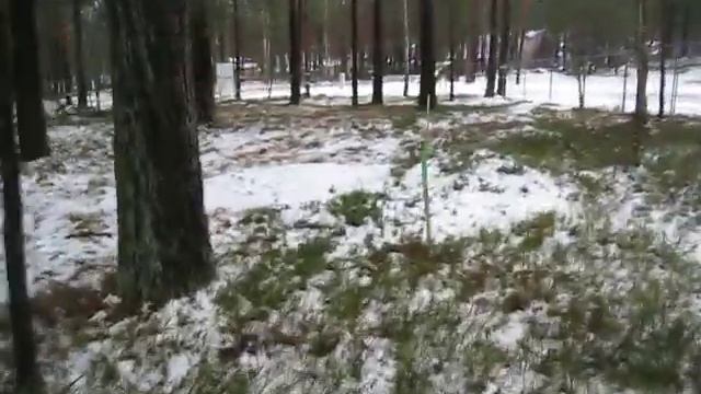 Как разметить место для постройки под дом. смотреть онлайн