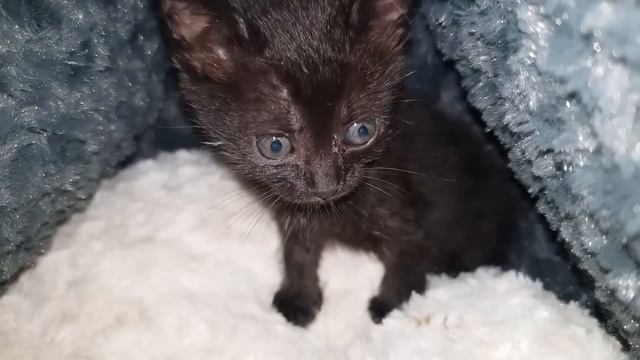 НА ЗАРЕ СЕМЕЙНОЙ ЖИЗНИ МАМА НАЗВАЛА ЗЯТЯ “НИЩЕБРОДОМ”, А СЕЙЧАС ТРЕБУЕТ ПОМОЩИ смотреть онлайн