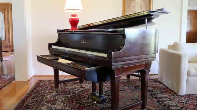 "La Source"...The Spring...(Leschetizky)...Elizabeth Winston... Ampico B...Steinway S. смотреть онлайн