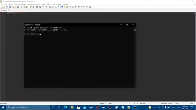 How to setup Notepad++ for Python (without NppExec) смотреть онлайн