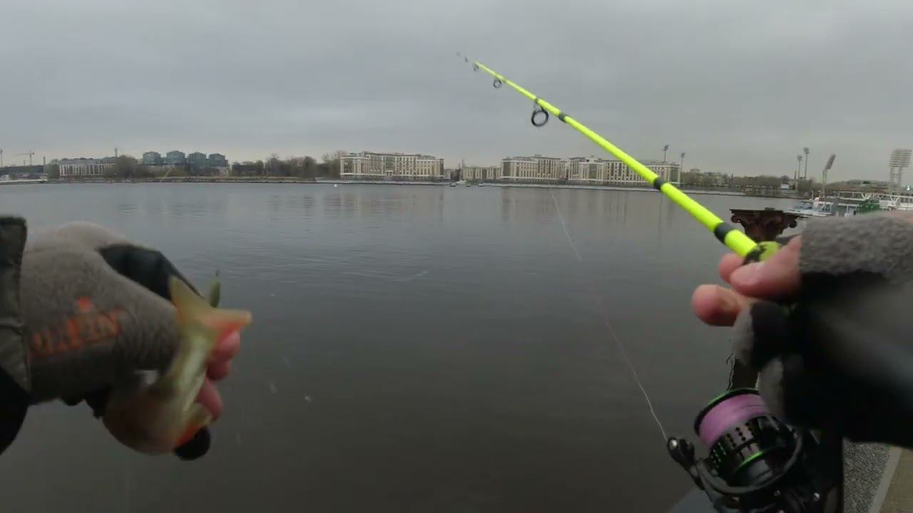 #394 #streetfishing Нева, окунь