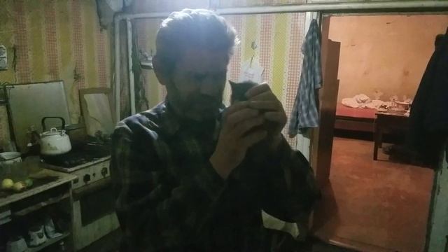 Человек приручает тигра!!! Самое милое видео! смотреть онлайн