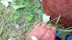 Быстрый сброс воздуха у поверхностного насоса Джилекс Вихревик 40/40