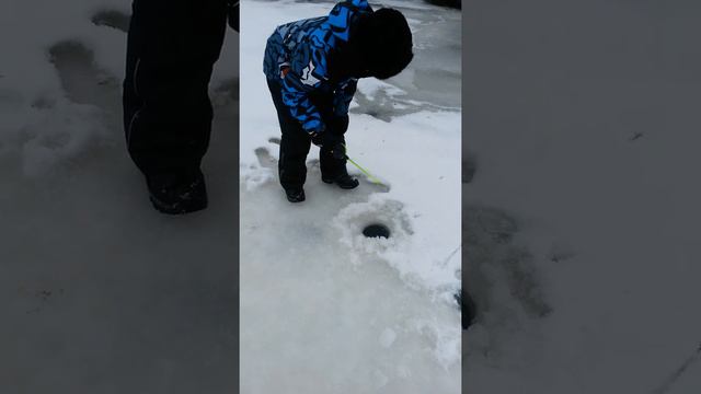 Ловля форели зимой смотреть онлайн