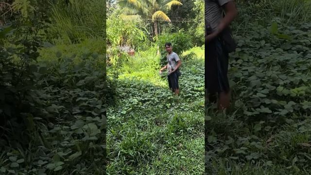 Mitsubishi Xpander Transmission Service Required