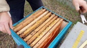 Февраль на пасеке Первые работы на пасеке.