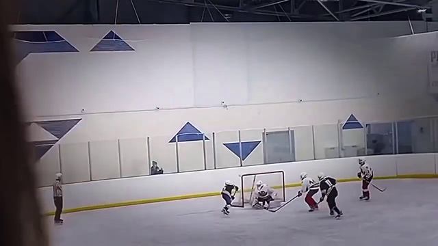 Видео про хоккей) забил гол? смотреть онлайн