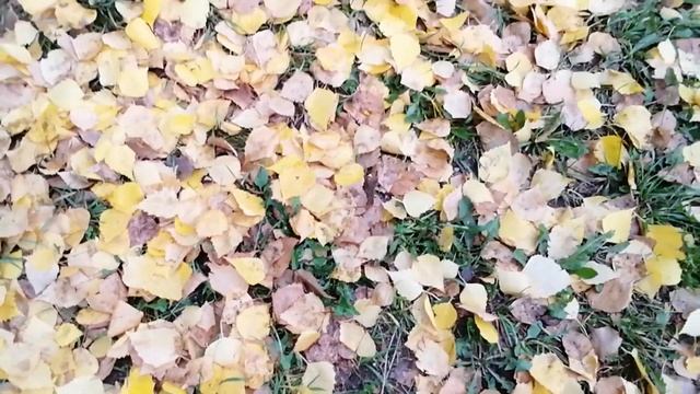 Краски осени. Листопад у дома моего. смотреть онлайн