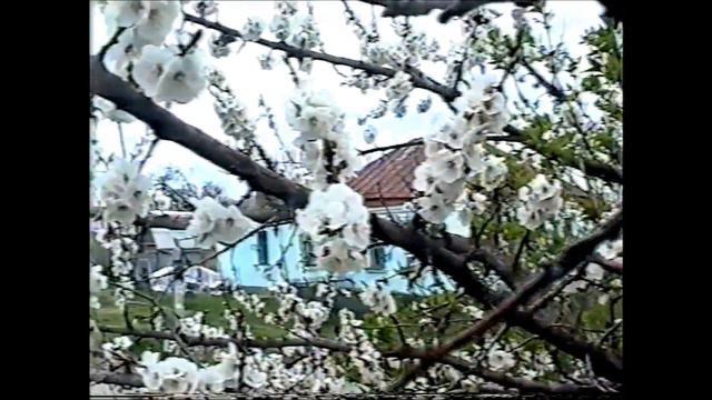 + Весенний воронеж 2005г смотреть онлайн