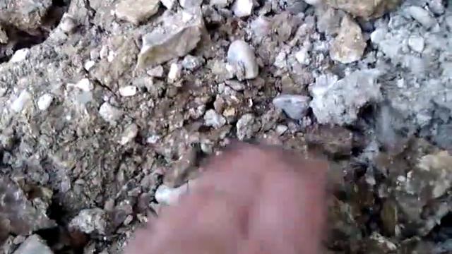 Крот пытается зарыться в землю. смотреть онлайн