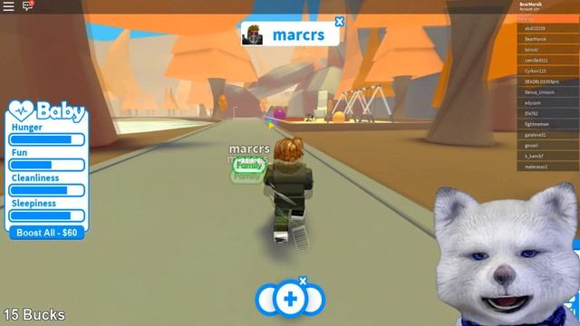 ?МЕДВЕЖОНОК МАРСИК стал ОТЦОМ в роблокс Adopt Me! ROBLOX говорящий МИШКА играет