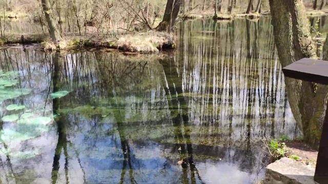 21/1000 - Niebieskie Źródła, Tomaszów Mazowiecki смотреть онлайн