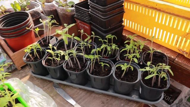 Только хорошие новости из Калиновки! Влог 2021 смотреть онлайн