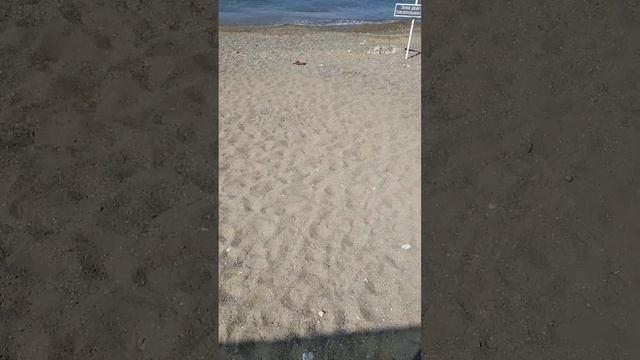 Лучший отдых для людей в Севастополе, Балаклава, Крым смотреть онлайн