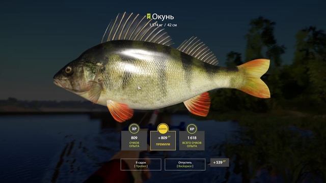 Щука обыкновенная - река Волхов - РР4┃maXS1k смотреть онлайн