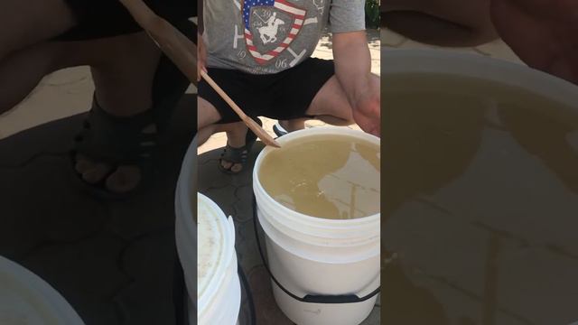 Мед акации 2022 майский мед (Acacia honey, natural honey) смотреть онлайн