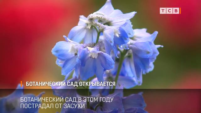 Ботанический сад открывается смотреть онлайн
