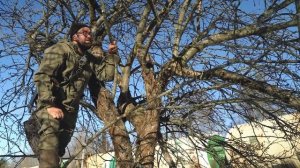 Обрезка старых яблонь от Олега Рожнова
