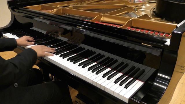 "I Have You / Kimi ga Iru" - Your Lie in April OST (Piano Cover) смотреть онлайн