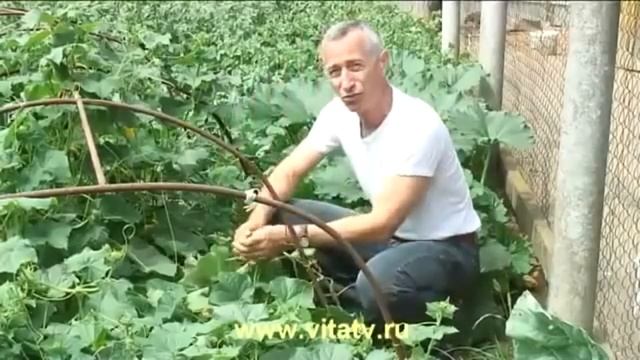 КАК УБИТЬ ДРУГА В МАЙНКРАФТЕ | +18 МАТЫ MINECRAFT | #майнкрафт #троллинг #друзья #minecraft смотреть онлайн