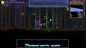 ТОП 2 КРУТЫХ СИДА В ТЕРРАРИИ 1.4.4.9