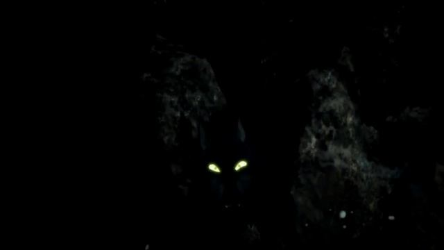 Arashi No Yoru Ni - Wolf Bite [AMV] смотреть онлайн