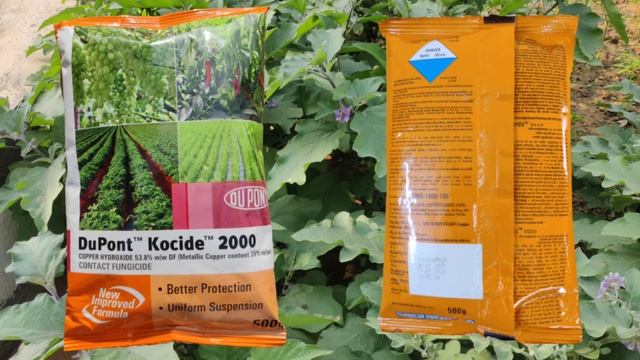 Kocide Fungicide Uses | Kocide 2000 | Copper Hydroxide 53.8% DF | Kocide 2000 Dose | Kocide Dupont