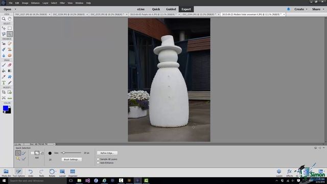 How to Use the Color Selection Tool in Adobe Photoshop Elements 14 смотреть онлайн